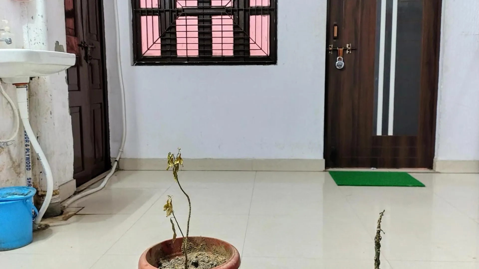Maa Tara Ac Home Stay Waranasi